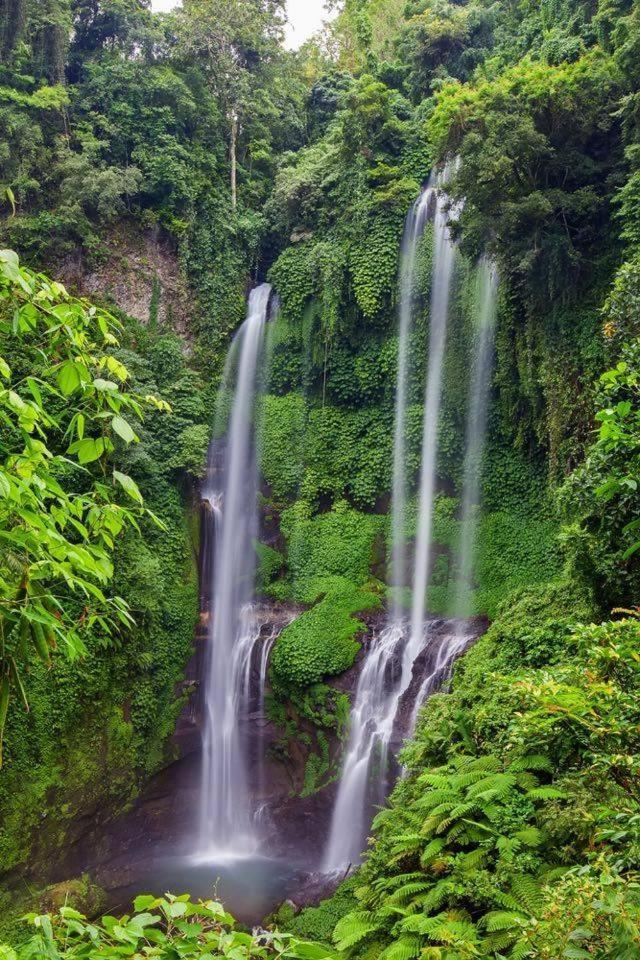 Sekumpul Accommodation Singaraja エクステリア 写真